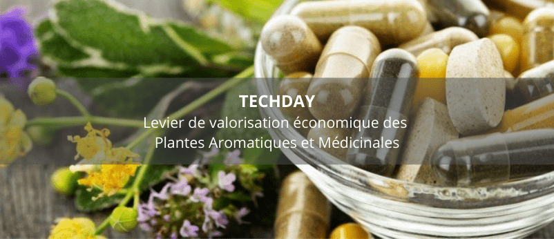 TECHDAY_valorisation_plantes_parm